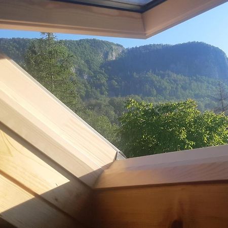 Apartma Nina Bohinji-tó Kültér fotó
