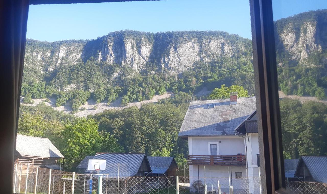 Apartma Nina Bohinji-tó Kültér fotó